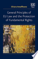 General principles of EU law and the protection of fundamental rights