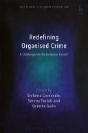 Redefining organised crime : a challenge for the European Union?