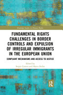 Fundamental rights challenges in border controls and expulsion of irregular immigrants in the European Union : complaint mechanisms and access to justice
