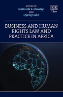 Business and human rights law and practice in Africa