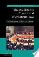 The UN Security Council and international law